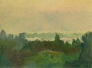 Sky and Trees.South India