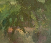 Bunch of trees.South India