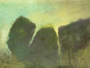 Arbres Formes.Trees Shapes